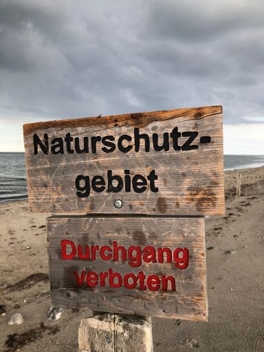 Schlei Massholm